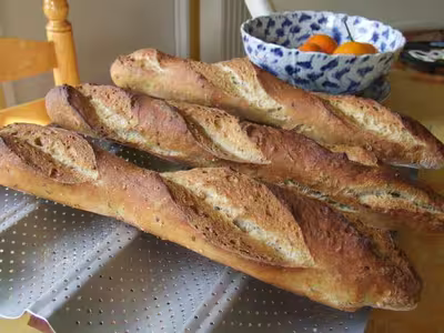 Conseil concernant le levain à partir d'un morceau de pâte
