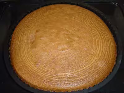 Marbré au chocolat