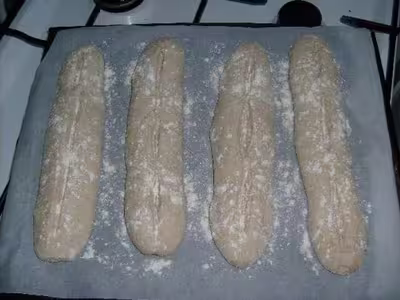 Mon levain liquide inratable (6)