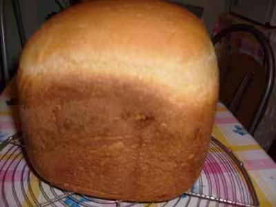 Mon levain liquide inratable (6)