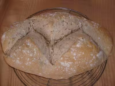 Mon levain liquide inratable (9)