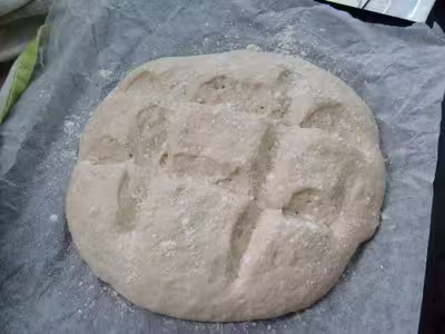 Mon levain liquide inratable (6)