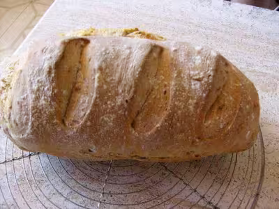 Mon levain liquide inratable (6)