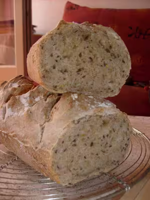 Mon levain liquide inratable (6)