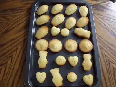 Langues de chat