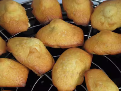 Recette Thermomix: Madeleines de Nicolas Le Bec