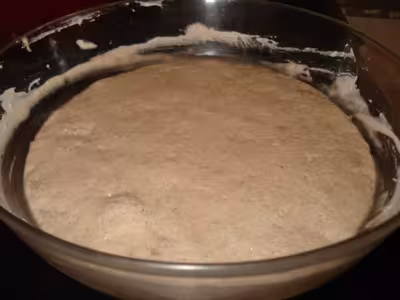 Levain liquide à la farine de sarasin