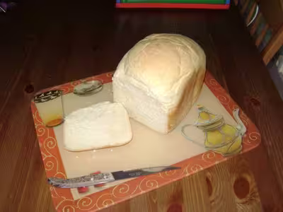 Mon levain liquide inratable (7)