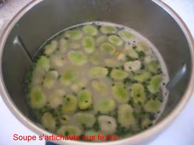 Recette Thermomix: Soupe d'artichauts aux fèves par pampelune50