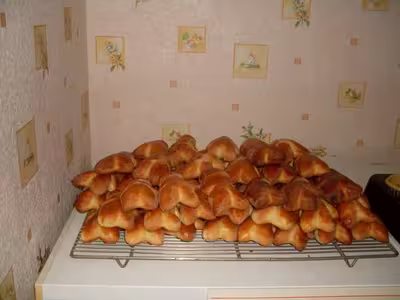Mon levain liquide inratable (11)