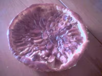Tarte briochée aux pommes