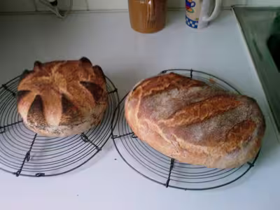Pain à la cocotte