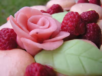 Gâteau citron, framboise, macarons