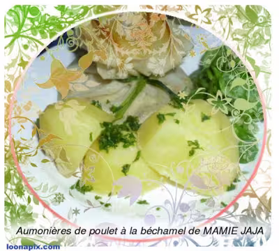 Aumonières de poulet à la béchamel