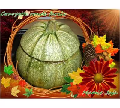 Courgettes rondes farcies