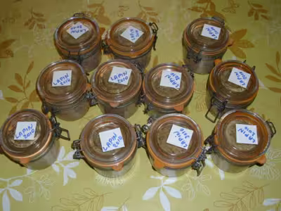 Pâté de lapin