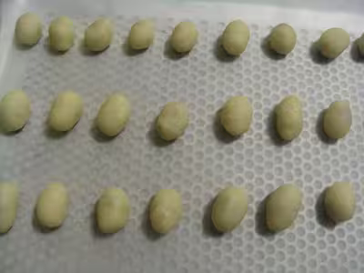 Défi: une recette par mois