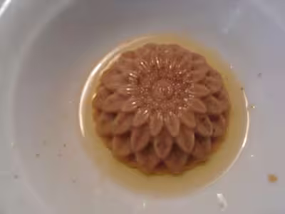 Régime et Thermomix...?