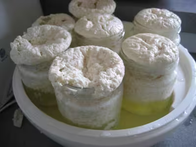 Yaourts au lait concentré sucré complètement ratés par corail60
