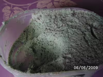 Recette Thermomix: Glace menthe chocolat