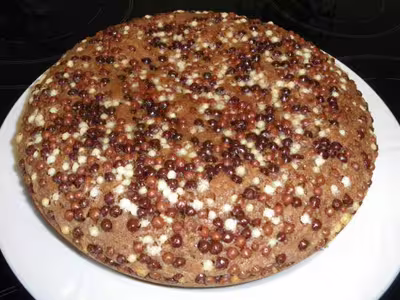 Gâteau chocolat et coco au délicook
