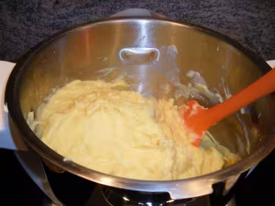 Purée de pommes de terre au companion