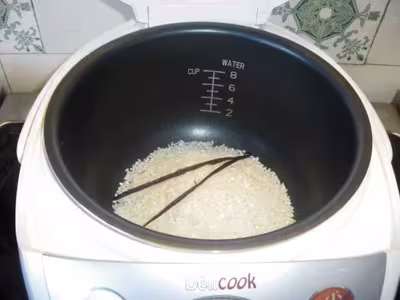 Riz au lait familial au délicook