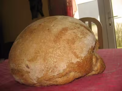 Recette du levain liquide