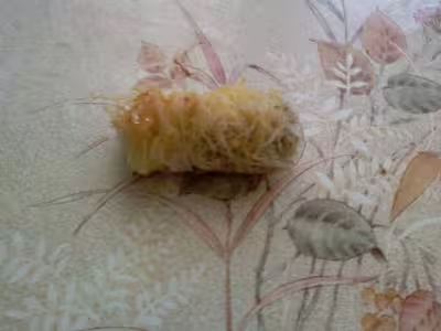 k'daif aux pistaches, cacahuètes et amandes