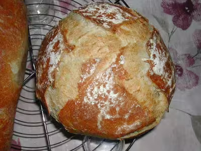 Recette du levain liquide