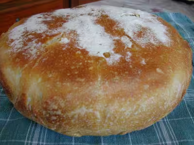 Pains, 100 recettes croustillantes. recettes testées