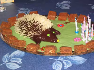 Hérisson mignon au chocolat et aux biscuits
