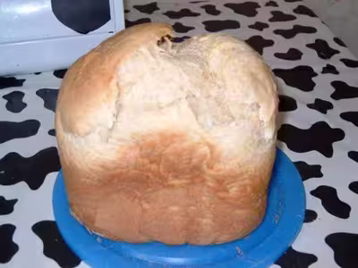 pain au vin blanc
