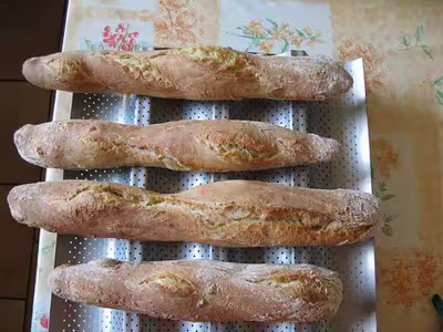 Pain sans pétrissage (suite)