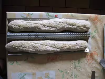 Mon levain liquide inratable (12)