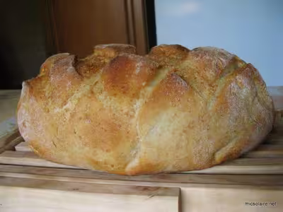 Pain au son de blé ou d'avoine?