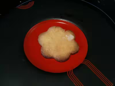 Thermomix: Gâteaux de Noël par lawerwurcht