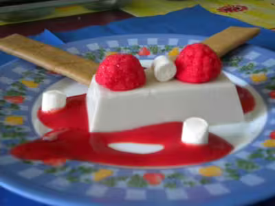 Recette WW: Pannacotta à la noix de coco (PP)