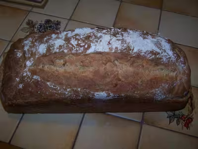 Remplacer 250g de levain "pâte" par du levain en poudr