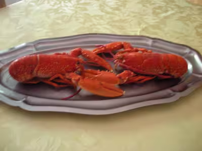 Cuisson des homards vivants