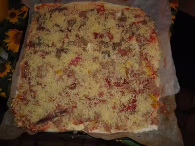 Pâte à pizza (quiche ou tarte salée)
