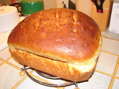 Recette du levain liquide
