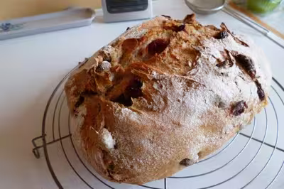Pain viennois aux égouts