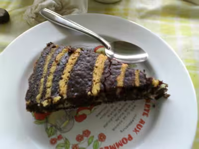 Gâteau marbré chocolat - coco