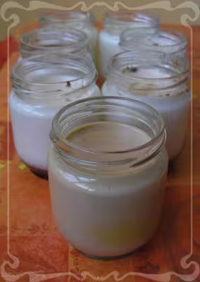 Yaourts liquides