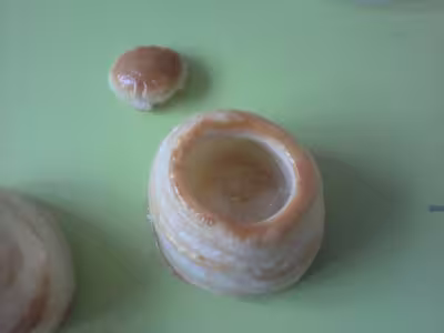 Pâte feuilletée aux beurre et eau