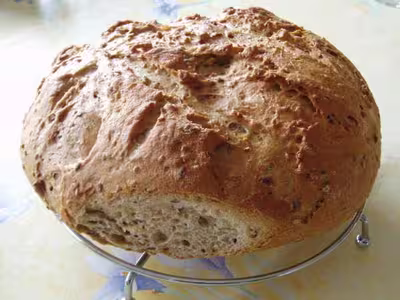 mon 1er pain au four