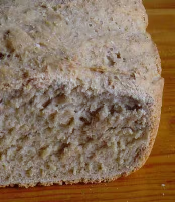 Levain fermentescible par michel84