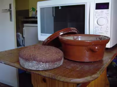 Levain fermentescible