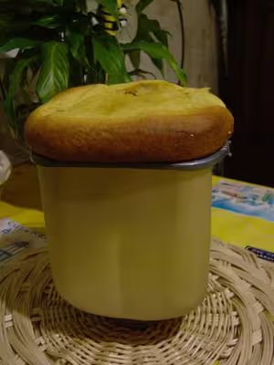 Recettes pour map home bread moulinex